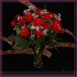 24 roses rouge 24 roses rouges avec vase et gypsophilia