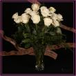 24 roses blanche 24 roses blanches avec vase