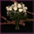 24 roses blanche 24 roses blanches avec vase et gypsophilia